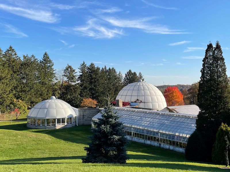 First Glimpse Through The Trees