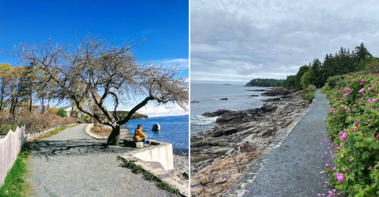 This Scenic Coastal Trail In Maine Should Be On Your Bucket List