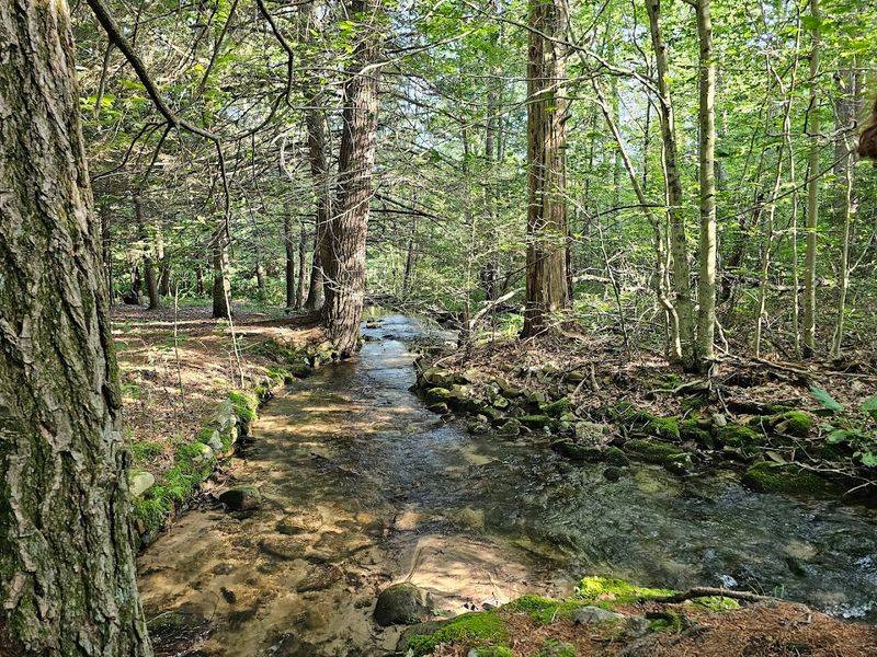 The Creekside Setting That Defines The Whole Experience