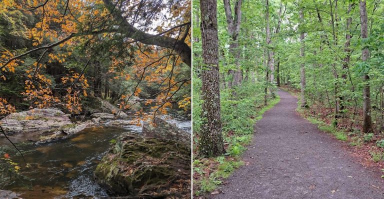 This Scenic Creekside Trail In Pennsylvania Is Known For Its Peaceful Atmosphere
