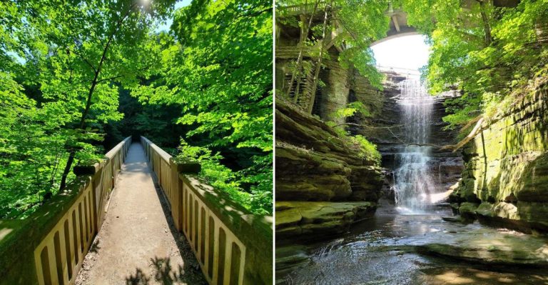 This Scenic Illinois Park Is The Perfect Place To Visit This April