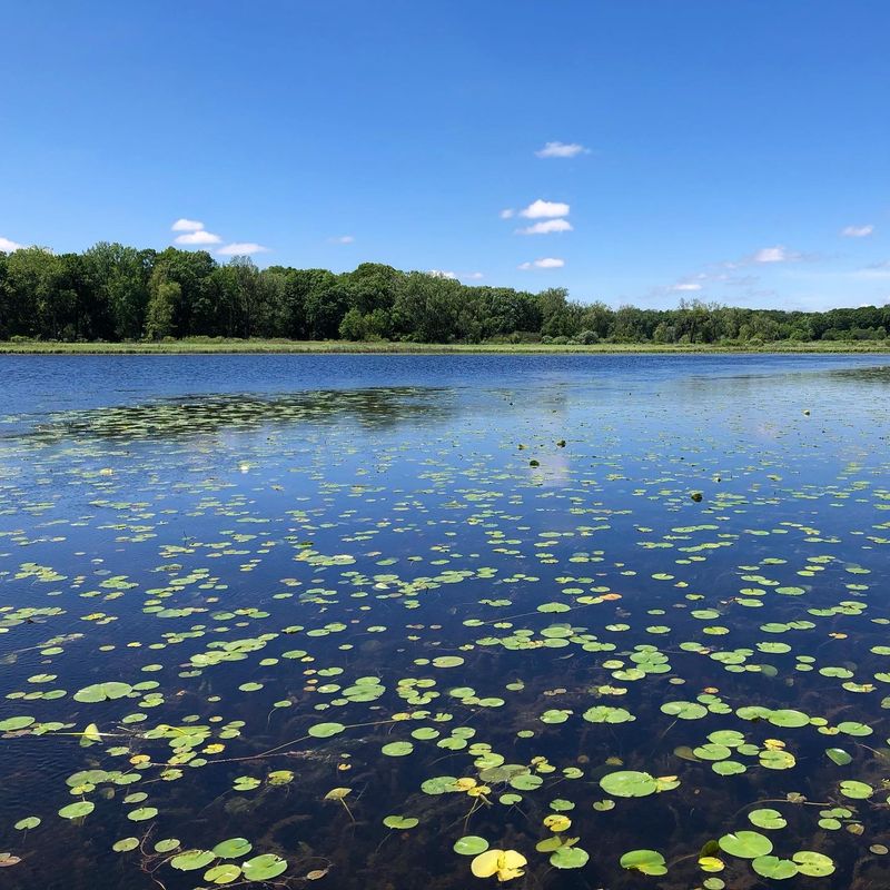 Year-Round Recreation Opportunities 