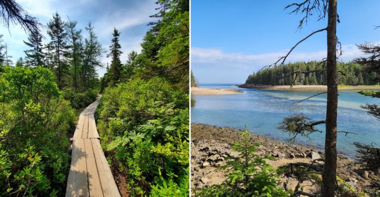 This Scenic Maine Boardwalk Feels Like Jurassic Park, Just Without Dinosaurs