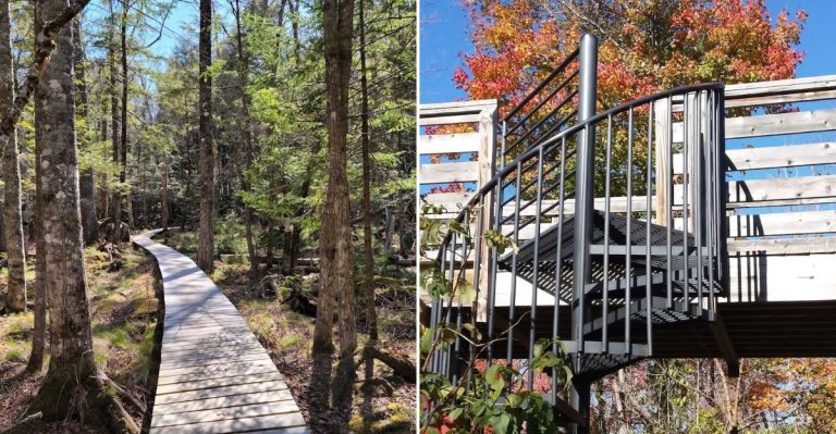 This Scenic Maine Trail Has A Boardwalk And A Spiral Stair You Won’t Forget