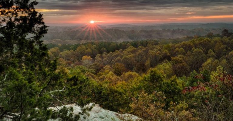 This Scenic National Forest in Illinois Is So Beautiful, Words Barely Do It Justice