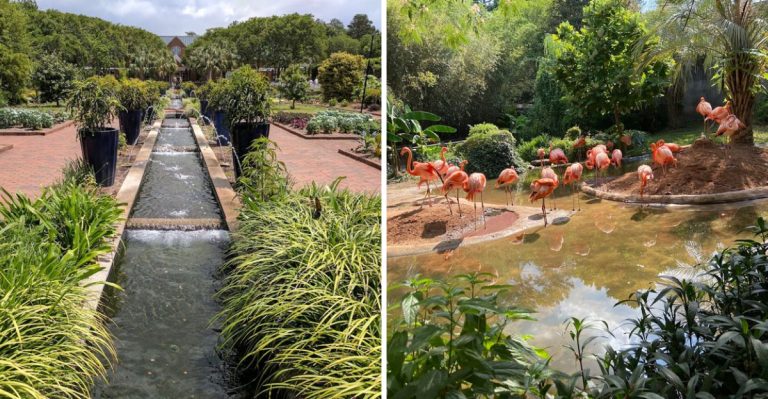 This Scenic Riverwalk In South Carolina Is A Nature Lover’s Paradise