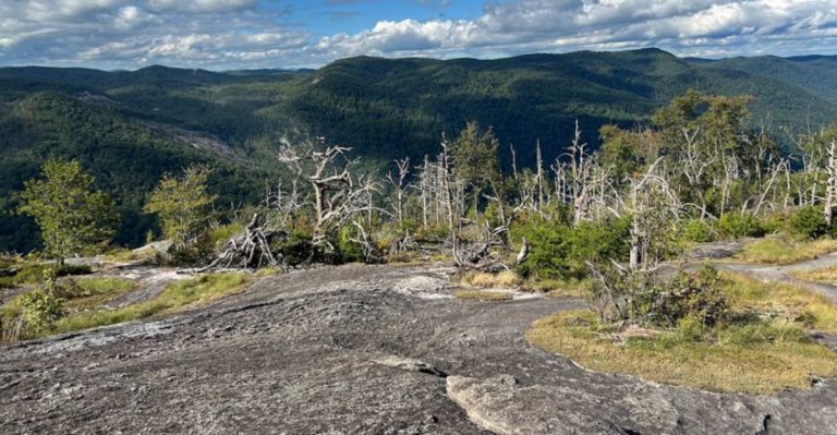 This Scenic South Carolina Hike Leads To Ancient Volcanic Formations