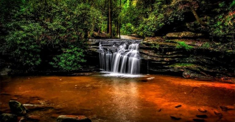 This Scenic State Park In South Carolina Is So Picturesque, You’ll Think You’re In A Fairytale