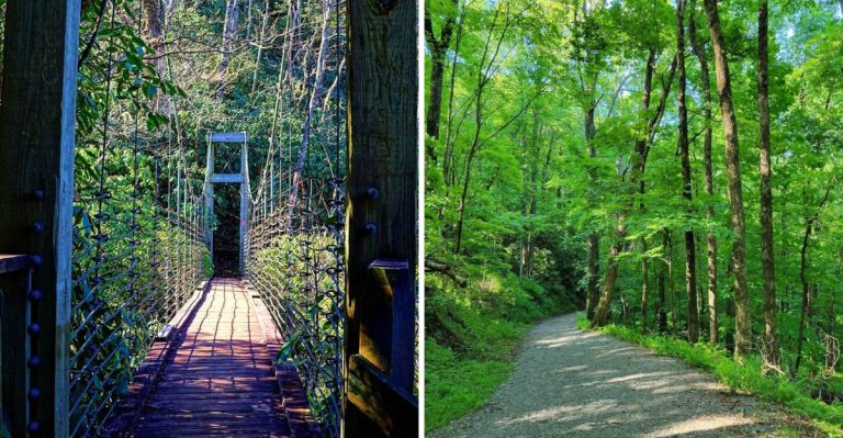 This Scenic Trail In South Carolina Leads To A Stunning Swinging Bridge