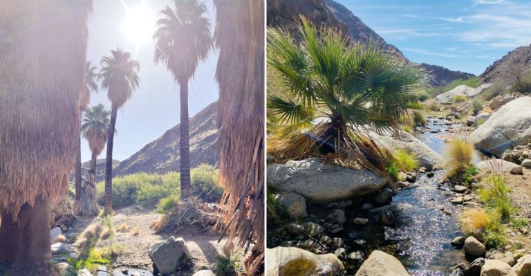 This Secluded California Desert Oasis Looks Like It Belongs On A Different Planet