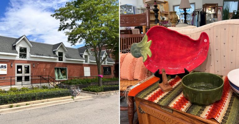 This Secondhand Shop In Illinois Turns $50 Into A Shopping Cart Full Of Hidden Gems