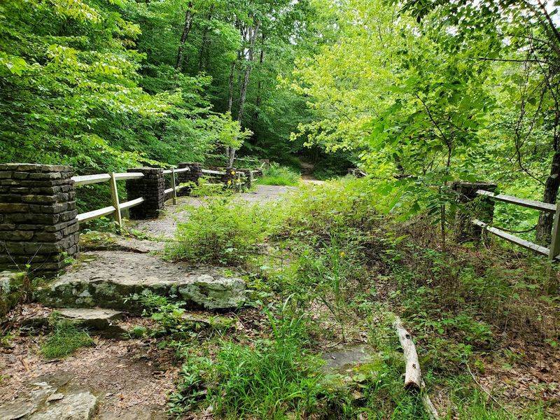 A Little Known Forest Path Hides A Colossal Stone Span