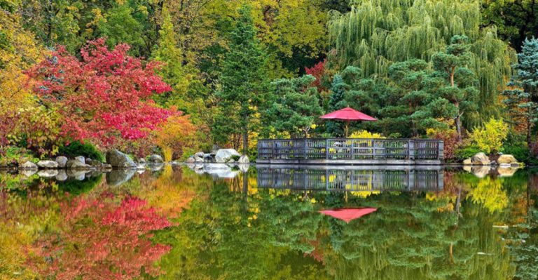 This Secret Japanese Garden In Illinois Will Take You To Another World