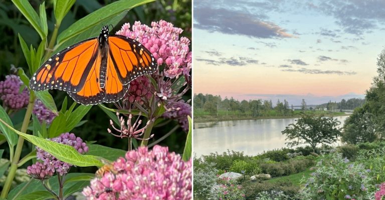 This Secret Maine Garden Is A Butterfly-Filled Sanctuary With Whimsical Charm