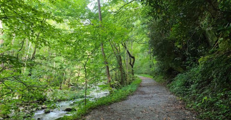 This Secret Tennessee Path Will Make You Believe In Magic Again