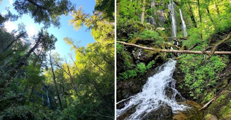 This Secret Waterfall Beach Hike In South Carolina Is The Kind Of Place You Don’t Expect To Exist