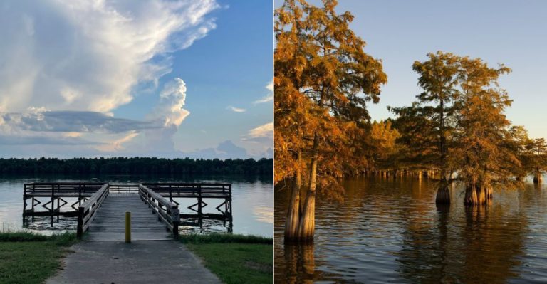 This Serene Arkansas State Park Is So Peaceful, You’ll Forget Your Phone Even Exists