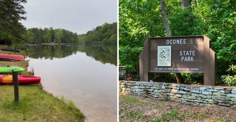 This Serene Forest Getaway In South Carolina Costs Less Than $100 A Night