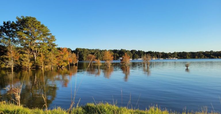 This Serene Georgia Park Has A Lake That Feels Like A Giant Ocean