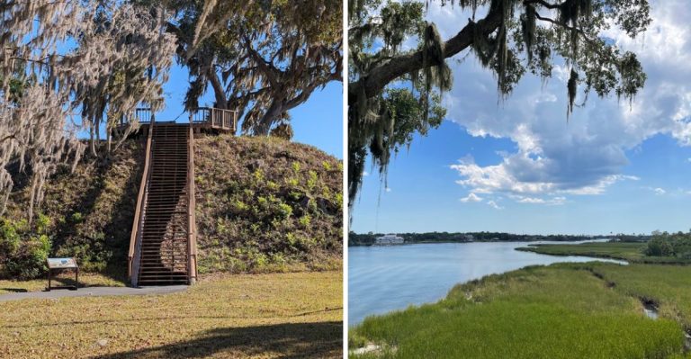 This Short Florida Trail Takes You Through A 1,600-Year-Old Native American Village