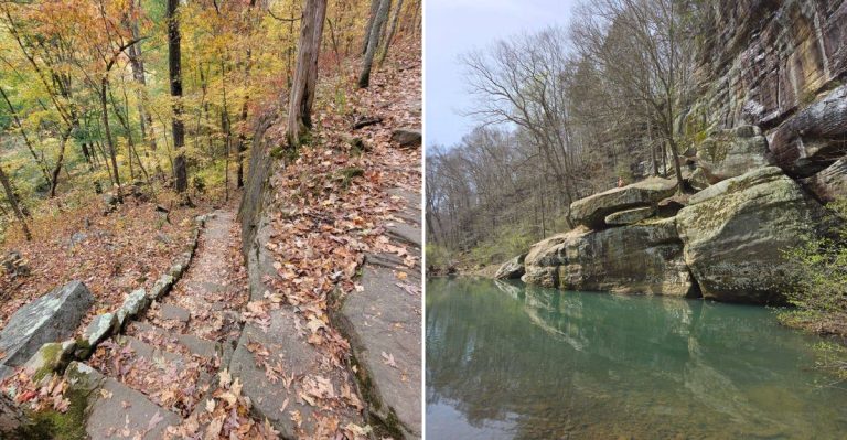 This Short Illinois Hike Leads To A Hidden Swimming Hole Worth The Walk