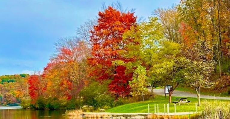 This Short Lakeside Trail In Pennsylvania Offers More Beauty Per Step Than Most Hikes