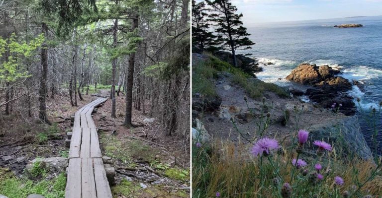 This Short Maine Trail Leads To A Coastal View You Will Never Forget