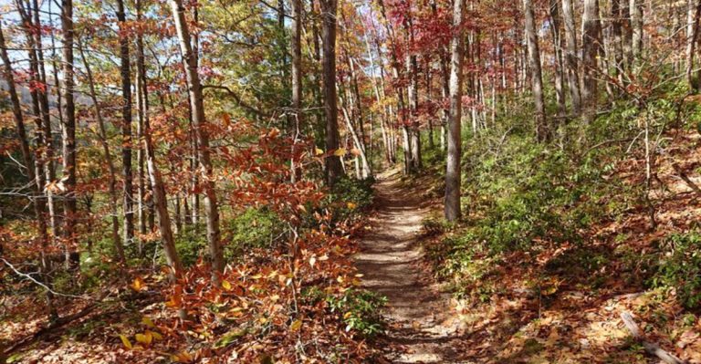 This Short Pennsylvania Hike Is Under Five Miles And Offers Amazing Views