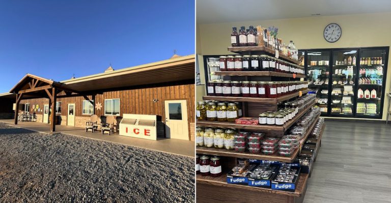 This Small Amish Bakery In Colorado Makes Giant Cinnamon Rolls Worth The Trip