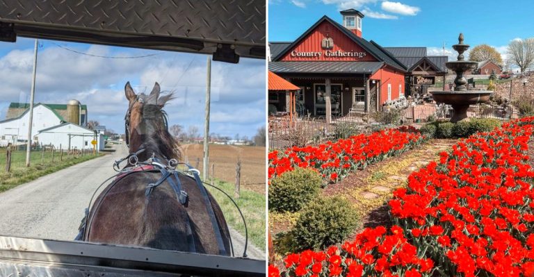 This Small Amish Town In Ohio Feels Like A Step Straight Into The Past