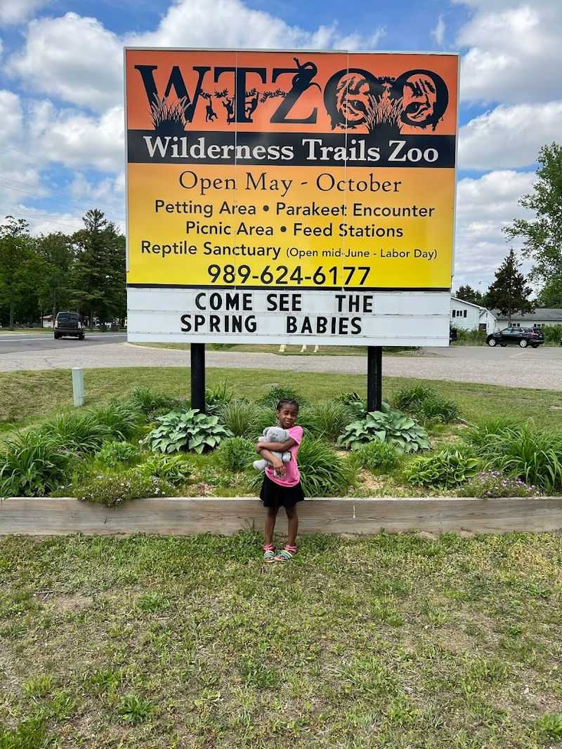 This Small Michigan Zoo Lets You Hang Out With The Internet’s Favorite Chill Animal This Small Michigan Zoo Lets You Hang Out With The Internet’s Favorite Chill Animal