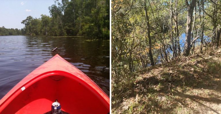 This South Carolina Blackwater River Is The Longest Free-Flowing One In America