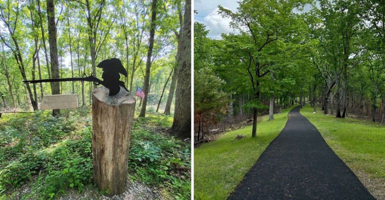 This South Carolina Forested Battlefield Trail Tells A Historic Story With Scenic Hikes And Quiet, Heroic Echoes