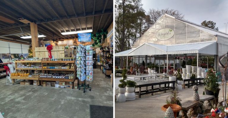 This South Carolina Garden Market Is One Of The State’s Best-Kept Secrets