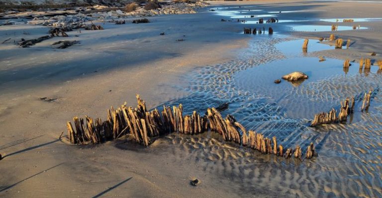 This South Carolina Island Is A Paradise For Seashell Hunters