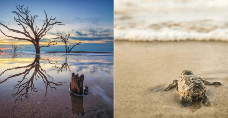 This South Carolina Shore Town Stays Quiet On Purpose