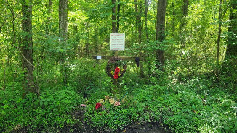 A Gift Rooted In Gratitude