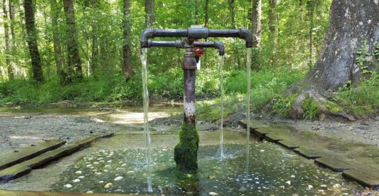 This South Carolina Spring Is Said To Have Natural Healing Powers Dating Back For Centuries