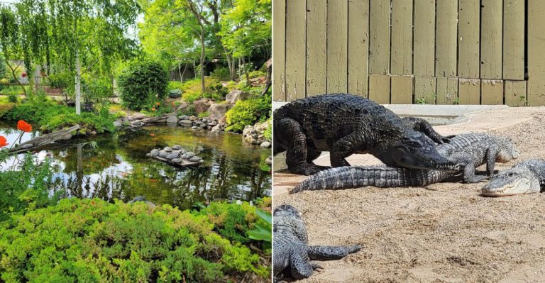 This South Dakota Reptile Garden Is One Of The Strangest Animal Stops In The Country