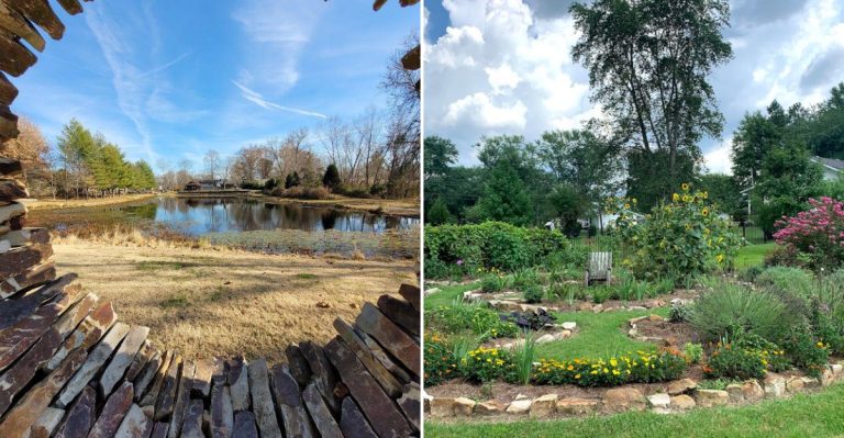 This Southern Illinois Sanctuary Feels Like Stepping Inside A Living, Breathing Mandala Of Color And Calm