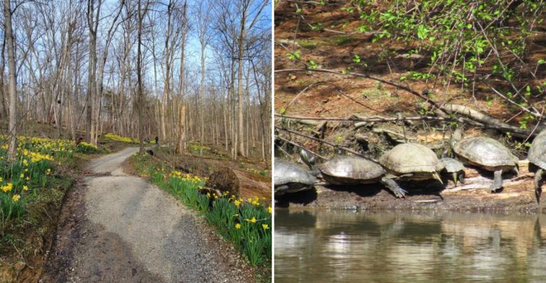 This Southern Ohio Nature Preserve Has A Magical Trail With Surprises On The Way