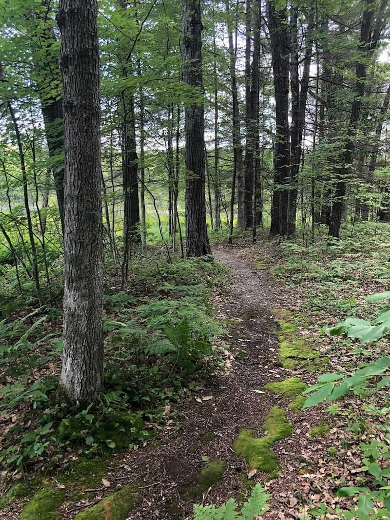 Loda Lake National Wildflower Sanctuary, White Cloud