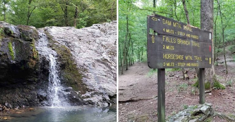 This Storybook Arkansas Hiking Trail Feels Like A Fairytale In Springtime