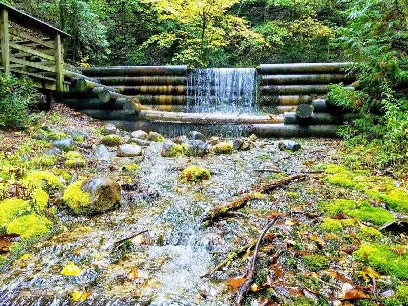 Arrival Timing After Rain