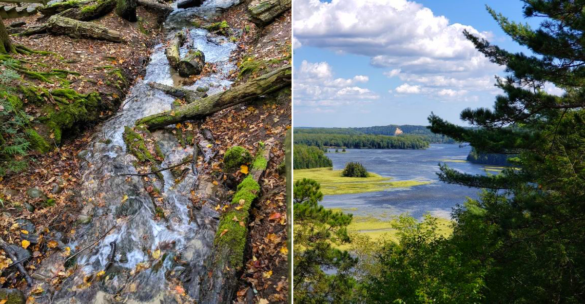 Iargo Springs Interpretive Site