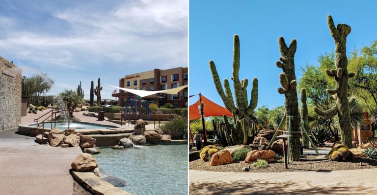 This Stunning Arizona Botanical Garden Is A Perfect Place To Spend A July Morning