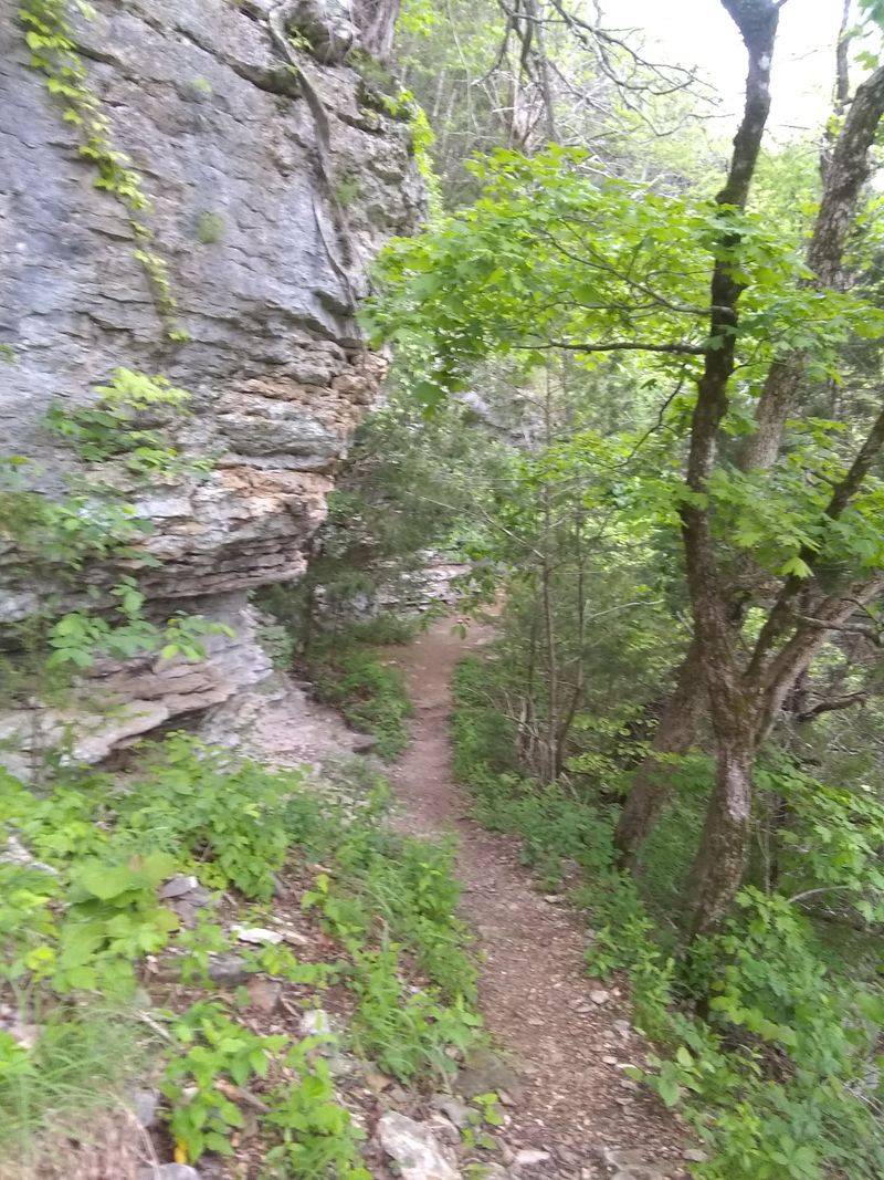 An Overview Of The Buffalo River Trail In The Ponca Area