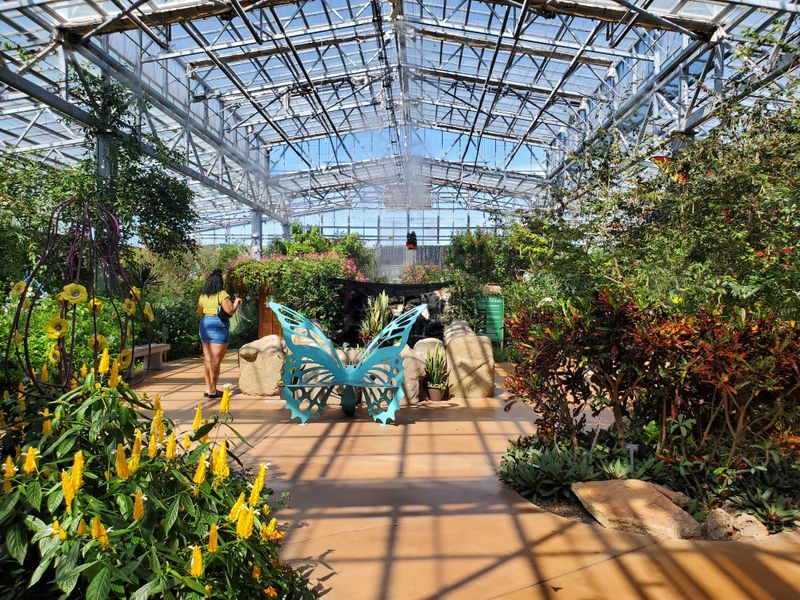 A Rainforest Rises in the Desert