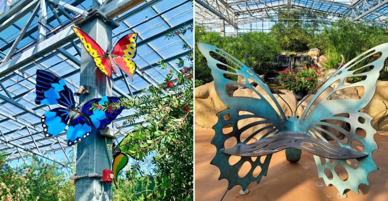 This Stunning Butterfly Garden In Arizona Feels Like A Fairy Tale