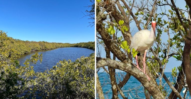 This Stunning Florida Island Is Just 45 Minutes From Tampa And Most People Have Never Heard of It